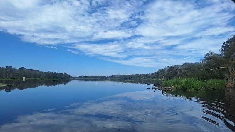 Acadian Swamp Tours - Image 2