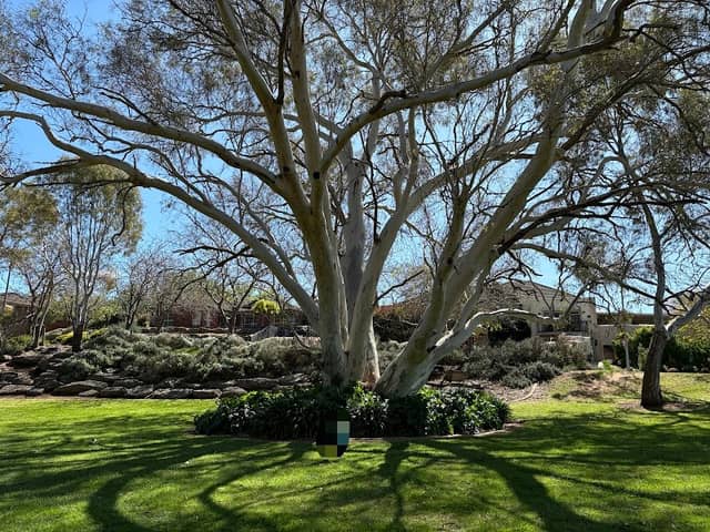 Martindale Reserve - Image 2