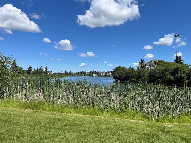 Don Sparrow Lake - Image 1