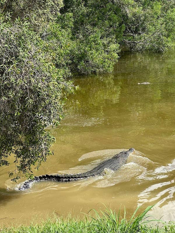 Crocodile Lake - Image 1