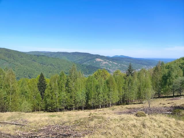 Маковиця - Image 1