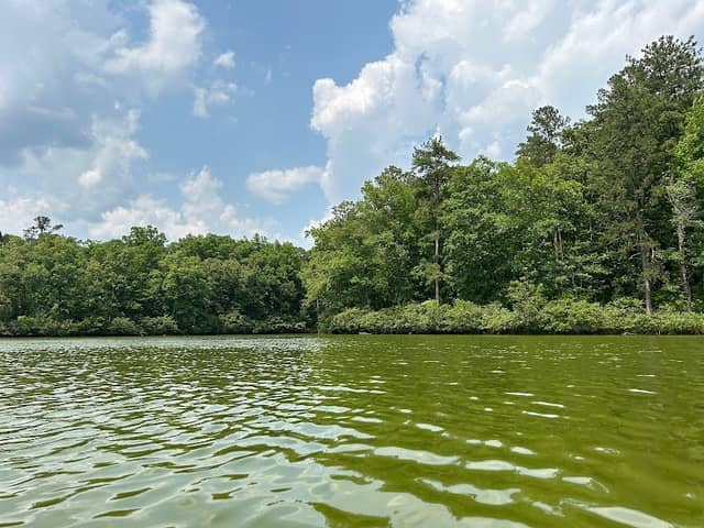 Oak Mountain Kayak Launch and Beachfront - Image 1
