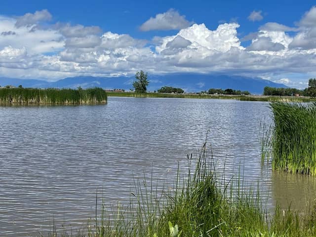 Blanca Vista Park - Image 2