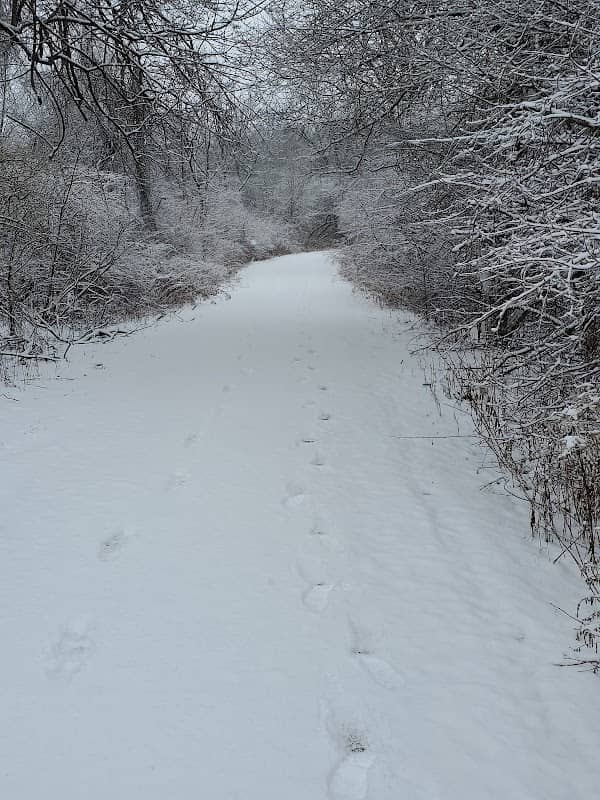 Hoover Park Trail - Image 1
