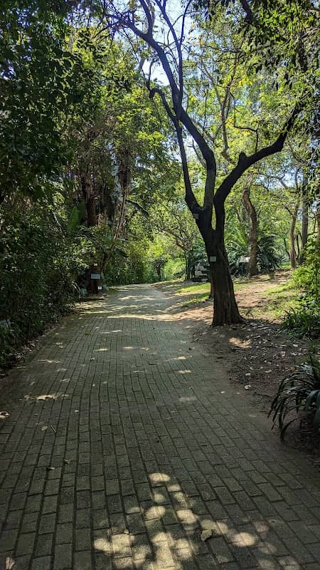 Lowveld National Botanical Garden - Image 2