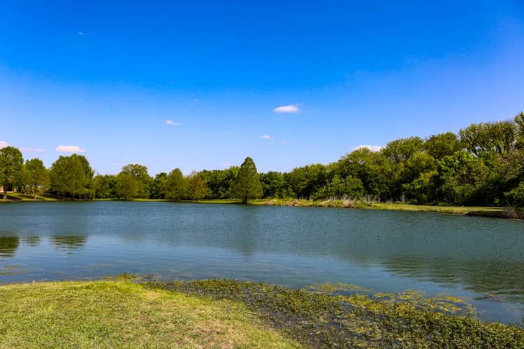 Valley Creek Park - Image 2