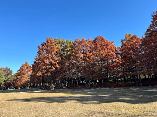 Inazawa Park - Image 1