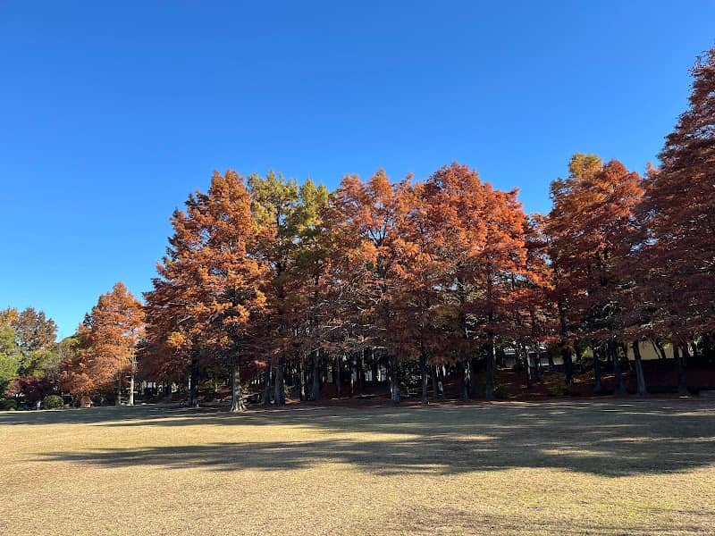 Inazawa Park - Image 1