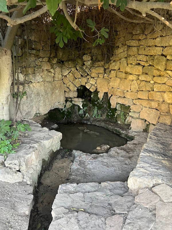 בריכת דובק - Image 1
