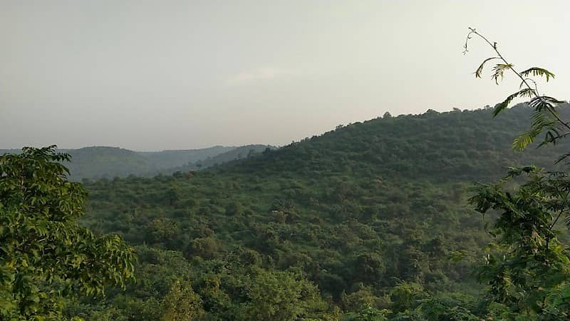 Hill Point View, Bhankhed Road, Amravati - Image 1