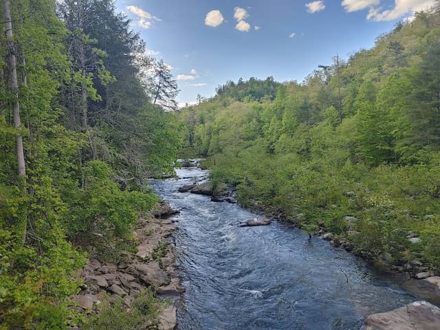Lilly Bridge, Obed Wild & Scenic River - Image 2