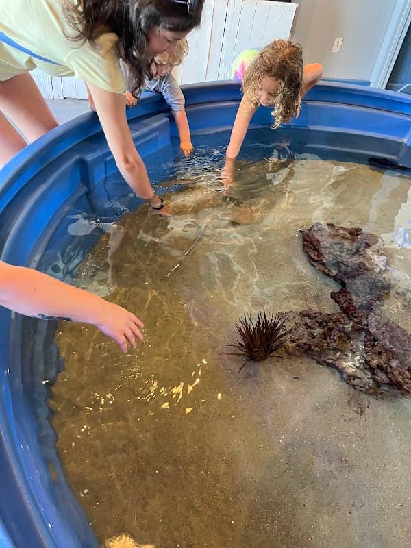 Topsail Aquarium - Image 2