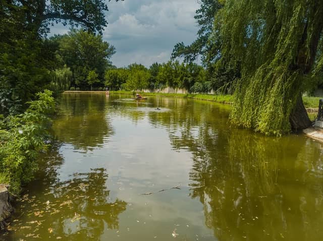 Fabrichnyy Park. Zona Attraktsionov - Image 1