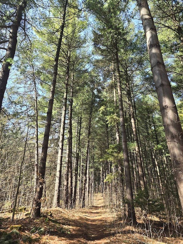Anderson tract - Image 1