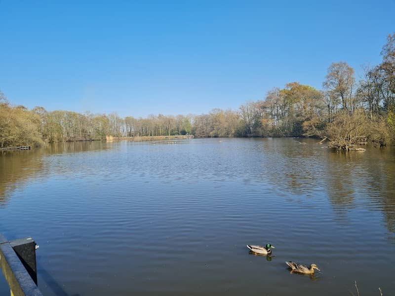 Fradley pool - Image 1