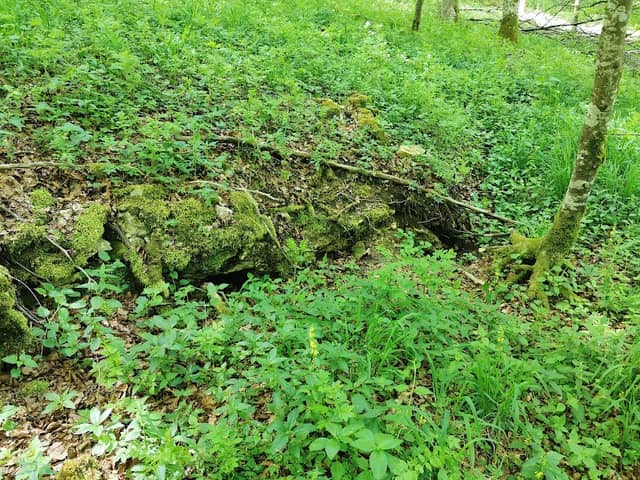 Felsenhöhle - Image 1