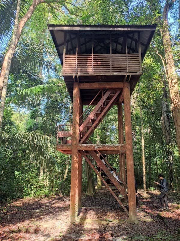 Bird tower 2 - Image 1