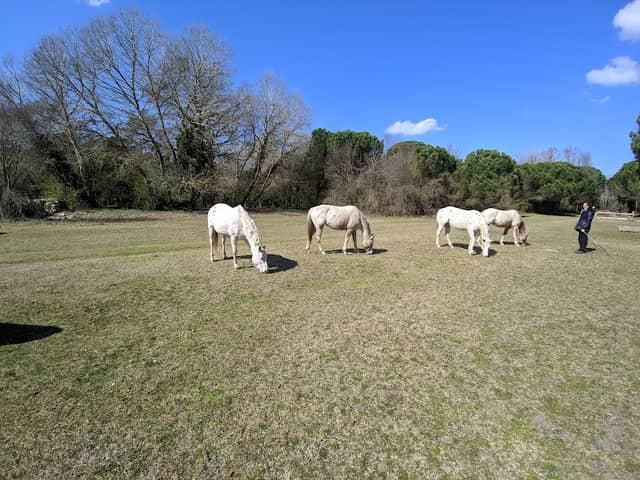 Parco 2 Giugno - Image 1