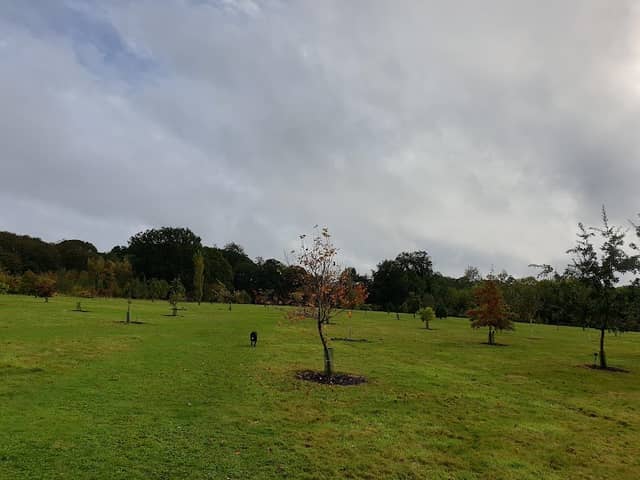 Shadowbrook Woods - Image 1