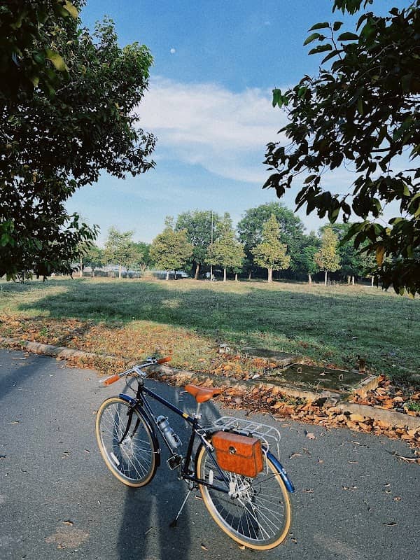 Khu Picnic Ven Sông Vàm Cỏ Tây - Image 1