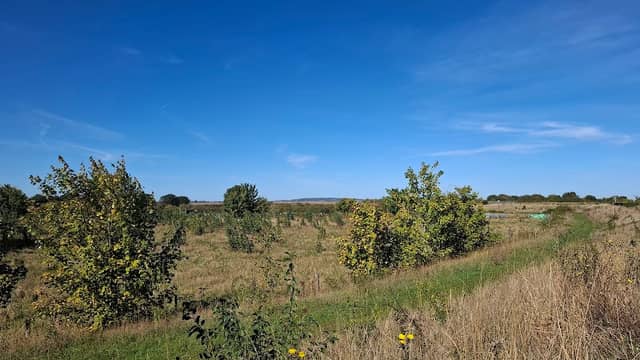 SSSI Grassland Nature Reserve - Coalhouse Fort - Image 1