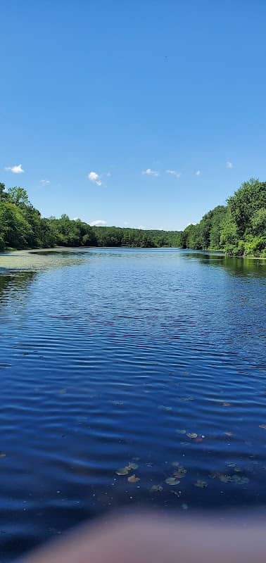 Messerschmidt Pond - Image 1