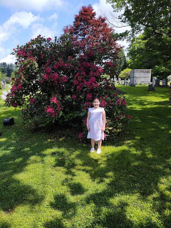Central Park - Image 1