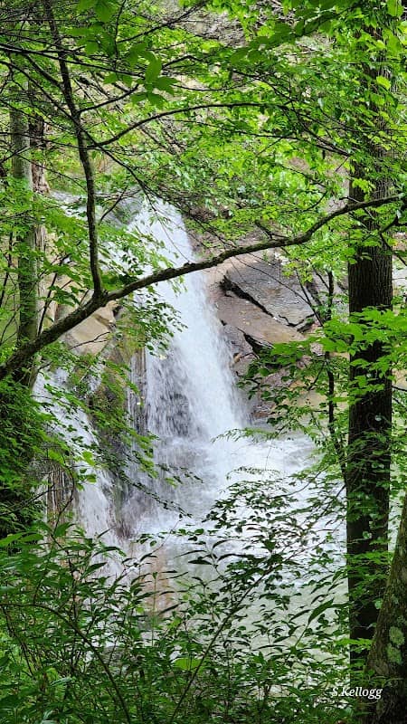 Meadow Creek Falls - Image 1
