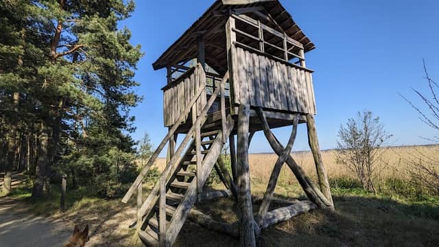 Birdwatching Station - Image 1