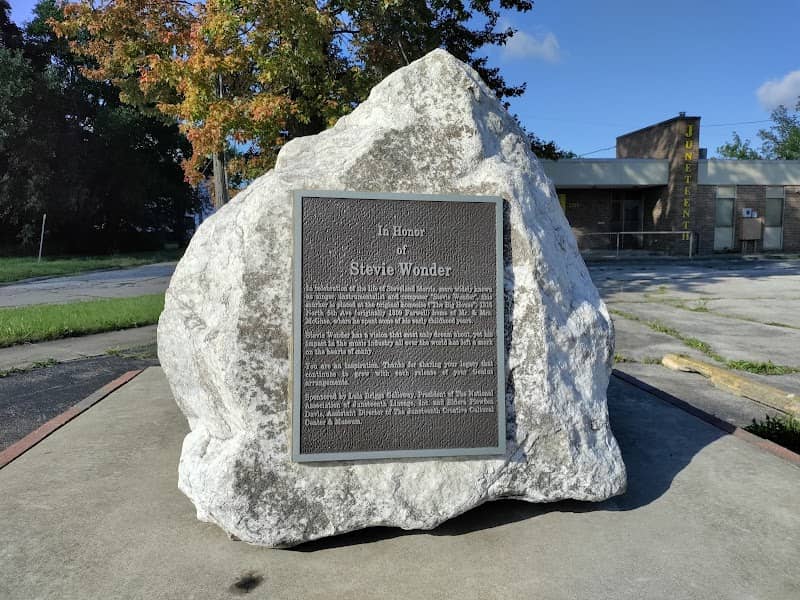 Stevie Wonder Landmark - Image 1