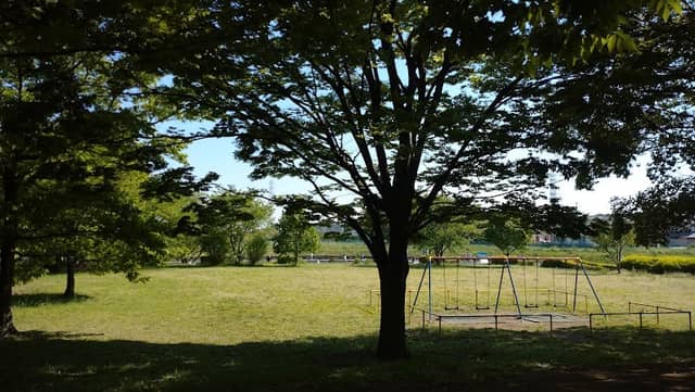 Tajima Park - Image 2