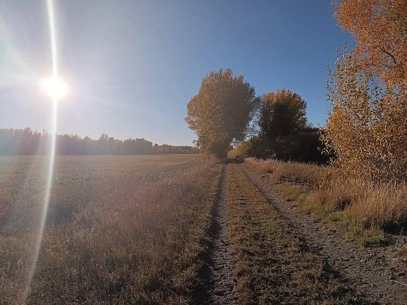 Deer Parks Wildlife Management Area - Image 2