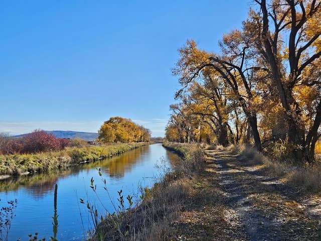 Deer Parks Wildlife Management Area - Image 2