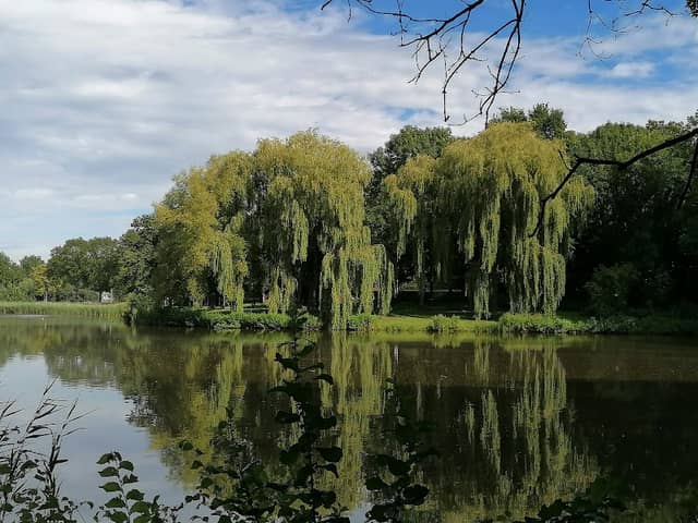 Van Tuyll Park - Image 2