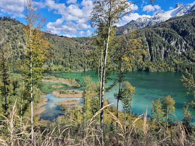 Ameisstein - Image 2