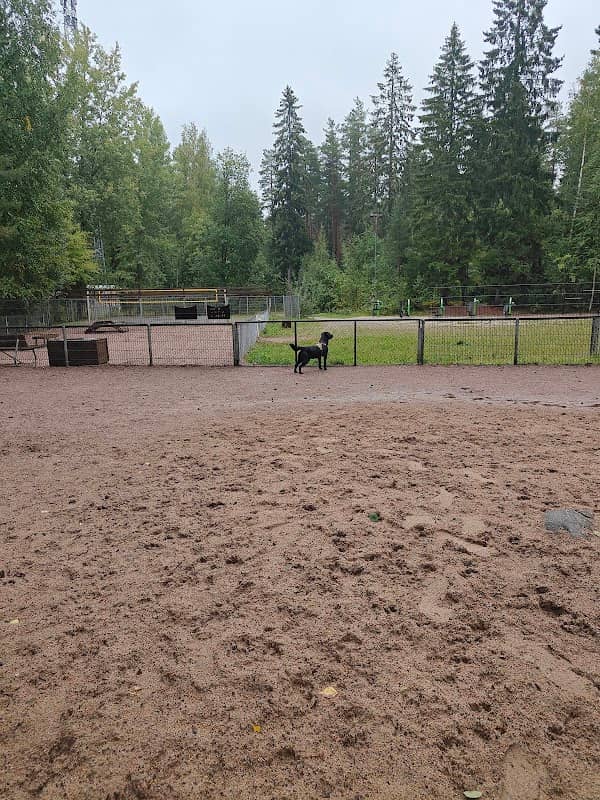 Hakalan koirapuisto - Image 1