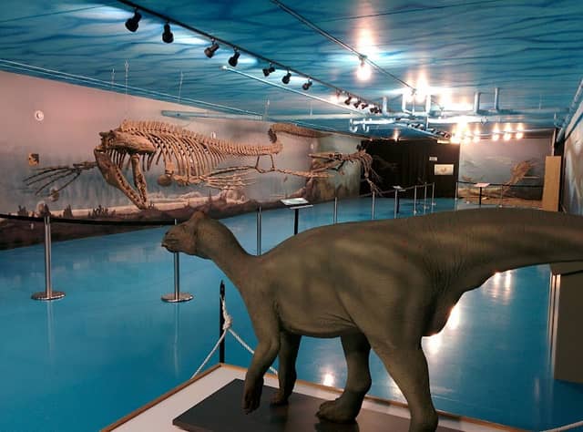Canadian Fossil Discovery Centre - Image 3