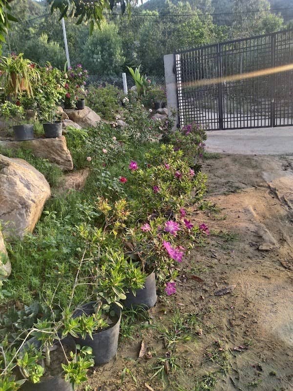 Lovefarm Phú yen - Image 1