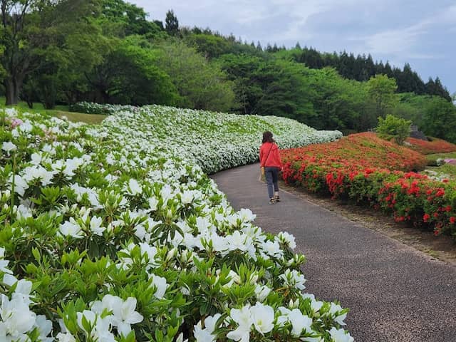 金沢市眺望点「大乗寺丘陵公園芝生の丘」 - Image 2