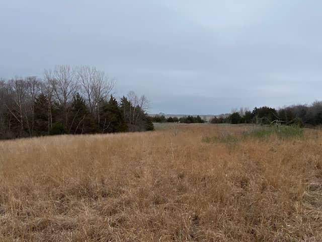 Bearbower Sand Prairie - Image 2
