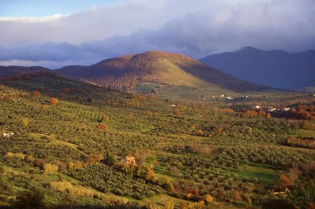 Paesaggio rurale storico: Gli uliveti a terrazze e lunette dei monti Lucretili - Image 1