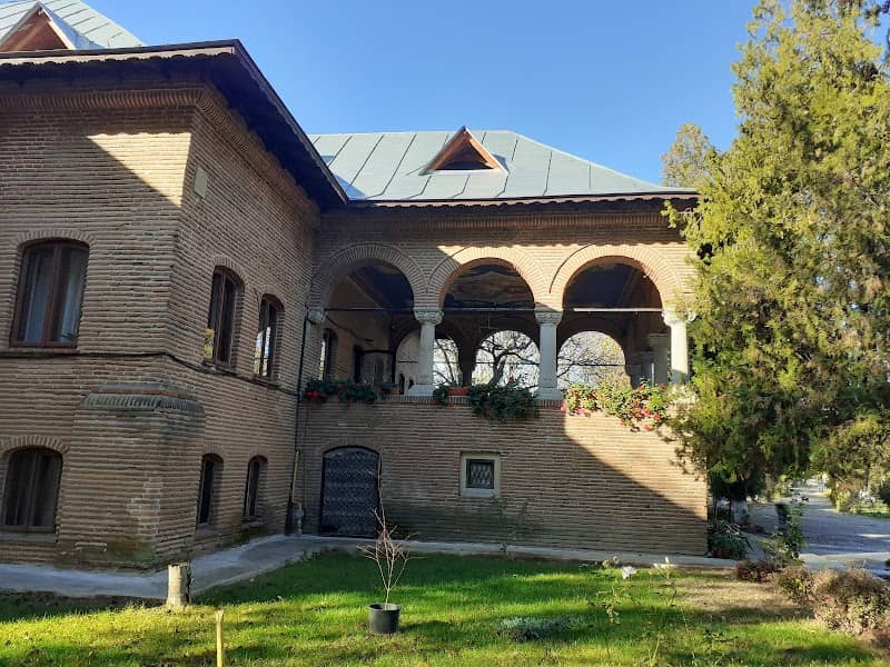 Conacul Drugănescu - Image 2