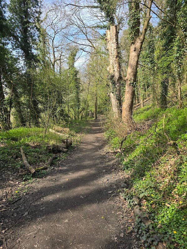 Midland Railway Centre Country Park - Image 2