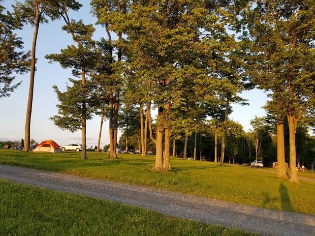 Cherry Springs State Park Astronomy Observation Field - Image 2