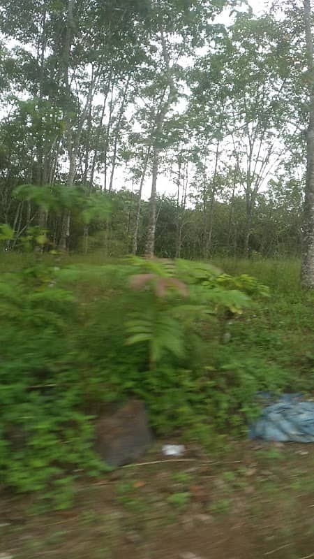 Bjc uvyciycof jhihig - Image 1