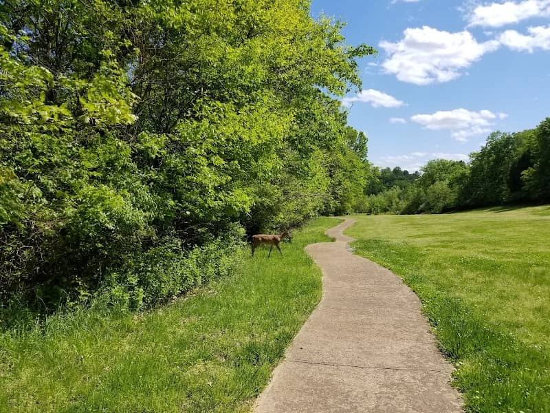 Arnold Hike and Bike park - Image 2