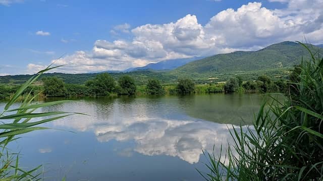 Old Olt Lagoon - Image 1