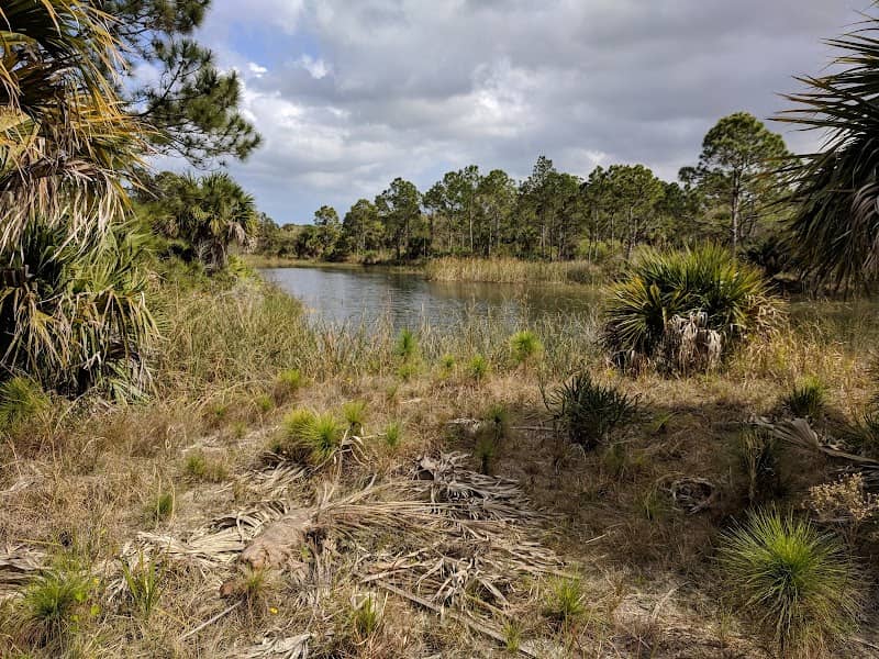 Grant Flatwood Sanctuary - Image 1