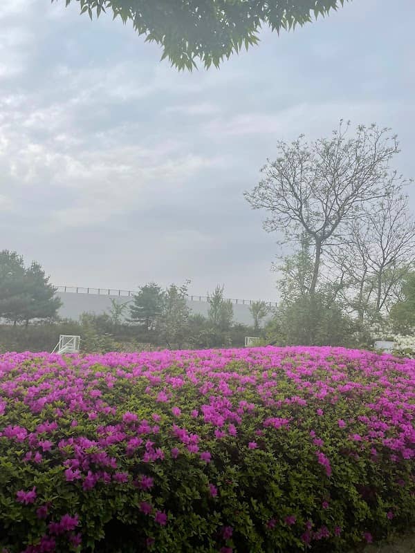 문발공원 - Image 2