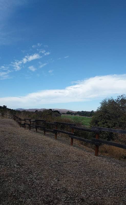City of Hollister Municipal Park - Image 2